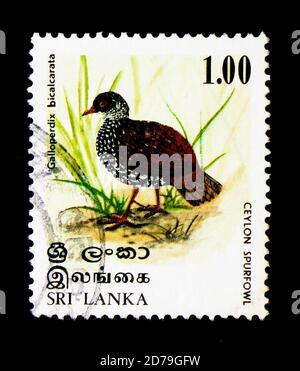 MOSCOW, RUSSIA - DECEMBER 21, 2017: A stamp printed in Sri Lanka shows Sri Lanka Spurfowl (Galloperdix bicalcarata), Birds serie, circa 1979 Stock Photo