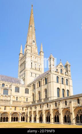 Norwich cathedral cloisters South Transept and Spire of Norwich Cathedral Norwich Norfolk East Anglia England UK GB Europe Stock Photo