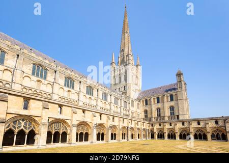 Norwich cathedral cloisters South Transept and Spire of Norwich Cathedral Norwich Norfolk East Anglia England UK GB Europe Stock Photo