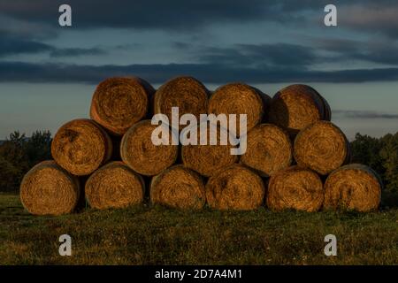 Hay balls on field near Ceske Budejovice town in sunrise time in color autumn Stock Photo