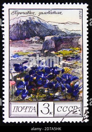 MOSCOW, RUSSIA - APRIL 2, 2017: A stamp printed in the Russia shows Gentian, Gentiana,  from the series 'Protected trees and shrubs', circa 1976 Stock Photo