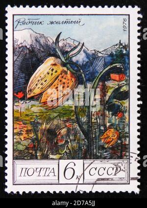 MOSCOW, RUSSIA - APRIL 2, 2017: Stamp shows image of a Yellow Fritillary 'Fritillaria collina',  from the series 'Protected trees and shrubs', circa 1 Stock Photo
