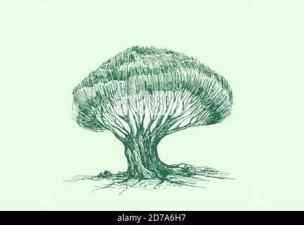 Green tree sketch stylized silhouette. Pattern isolated light green background. Ecology cover. Stock Vector