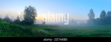 Panorama of foggy forest lawn with growing trees before the sunrise Stock Photo