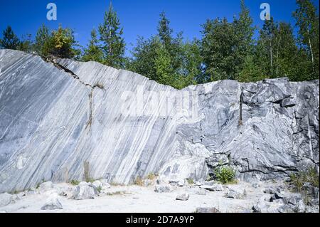 Rock cut raw surface of white and grey marble in the natural environment with trees and blue sky. Blue marble career texture. Background stone, industrial material for buildings and interior. Stock Photo