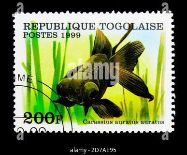 MOSCOW, RUSSIA - NOVEMBER 26, 2017: A stamp printed in Togo shows Black Telescope Goldfish (Carassius auratus), serie, circa 1999 Stock Photo