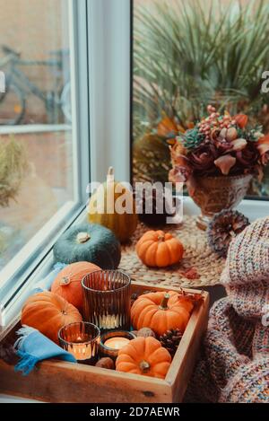 Autumn cozy mood composition on the windowsill. Pumpkins, cones, candles on wooden tray, blurred flower bouquet, warm plaid. Autumn, fall, hygge home Stock Photo