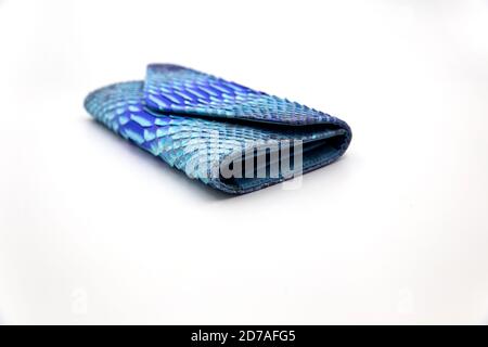 Trendy natural blue snake python skin woman wallet on white isolated background. Can be used for background and wallpaper Stock Photo