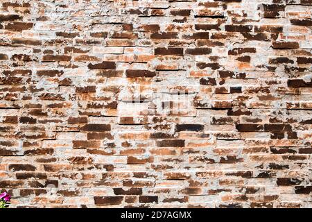 Old brick wall can be used as background image Stock Photo