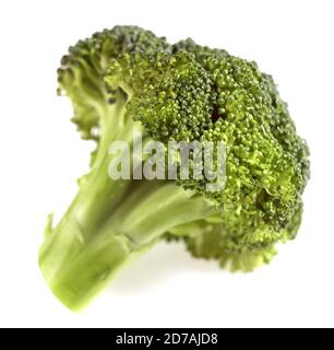 BROCCOLI CABBAGE AGAINST WHITE BACKGROUND Stock Photo