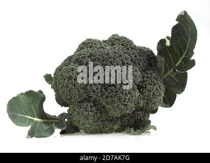 BROCCOLI CABBAGE AGAINST WHITE BACKGROUND Stock Photo