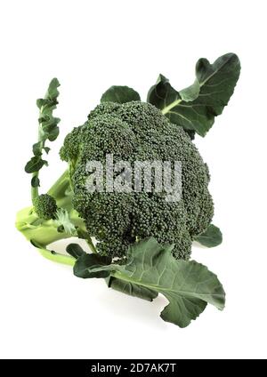 BROCCOLI CABBAGE AGAINST WHITE BACKGROUND Stock Photo
