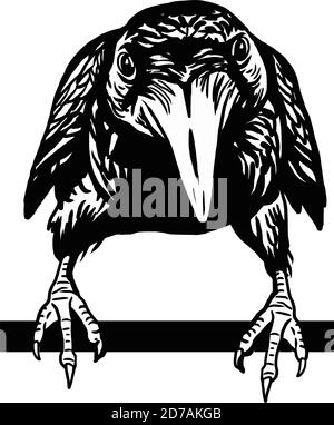 Cheeky crow isolated on white background. Raven Halloween character. Hand drawn sketch style vector Stock Vector