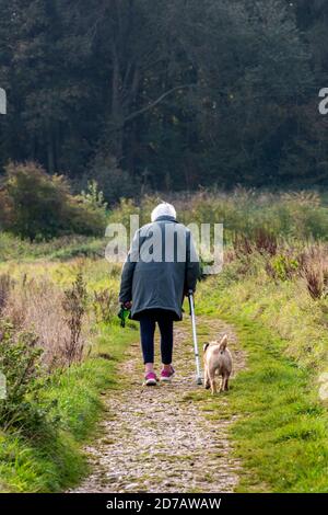 old elderly lady walking a dog in the woods in the autumn getting some fresh air and some exercise Stock Photo
