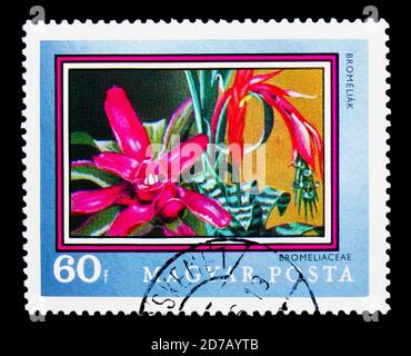 MOSCOW, RUSSIA - NOVEMBER 26, 2017: A stamp printed in Hungary shows Bromeliad (Bromeliaceae), 200th anniversary of the Botanical Garden of the Univer Stock Photo