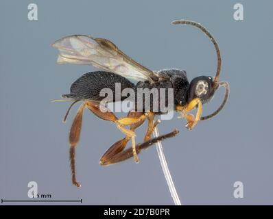 Peru, San Martin province, Lamas, capital of the indigenous people ...