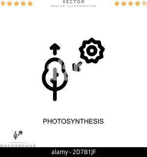 photosynthesis line icon with sun and plant Stock Vector Image & Art ...