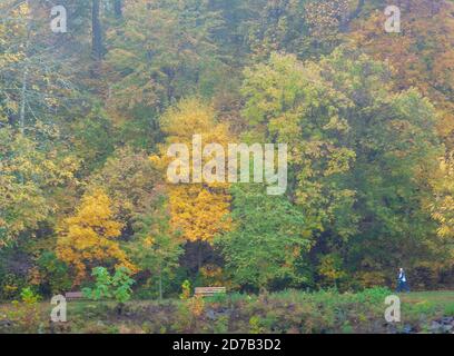 Newtown, United States. 21st Oct, 2020. A woman walks along a trail through the colorfull fall foliage during a foggy morning at the Neshaminy Creek bridge in Wednesday, October 21, 2020 at Tyler State Park in Newtown, Pennsylvania. Credit: William Thomas Cain/Alamy Live News Stock Photo