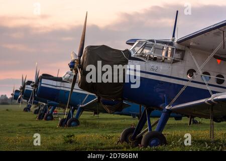 Group of soviet airplanes Antonov An-2 on airfield at dusk Stock Photo