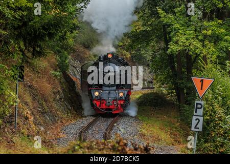 Steam locomotive from the front under steam in a valley of trees and rock walls in the Harz Mountains. Narrow gauge railway with wagon in the mountain Stock Photo