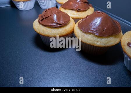 White cupcakes with chocolate frosting sit in a pan Stock Photo