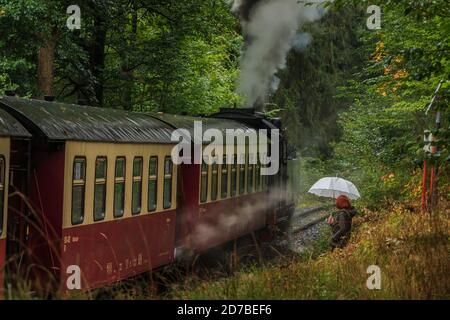 historical narrow-gauge selke valley railway in the Harz Mountains on a rainy day stops at a platform. Trees and grasses in autumn. Steam locomotive Stock Photo