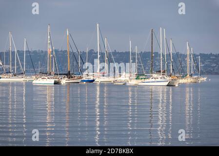 Boats moored in San Diego Harbor on a summer day. San Diego, CA, USA. Stock Photo