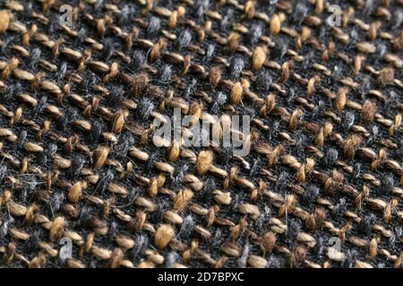 Closeup macro shot of a wool fabric Stock Photo