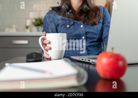 Women on a conference call showing business plan on a childs whiteboard. Working from home concept. Stock Photo