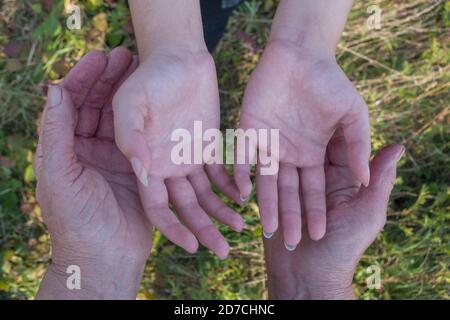 Hands of elderly woman,embrace hands of young girl on background of blurred grass. Concept: Caring for offspring, link between generations Stock Photo