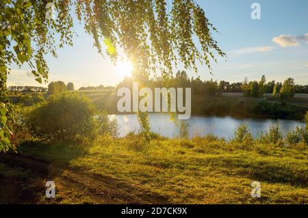 Sunny sunset scene with river and sun shining through hanging birch branches. Stock Photo