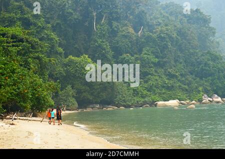 Beach in Penang National Park,Teluk Bahang, Penang, Malaysia Stock 