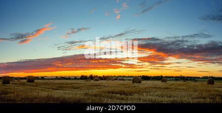 Farml field with hay bales during sunset. Stock Photo