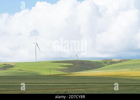 Wind turbines on a farm in the Overberg region in South Africa concept  technology in Africa Stock Photo