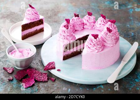 Chocolate cake with freeze dried dragon fruit powder cream and pitahaya chips, selective focus Stock Photo