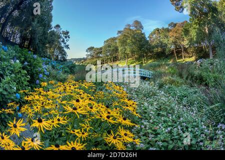 Trebah Garden; Late Summer; Cornwall; UK Stock Photo
