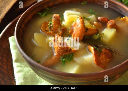 Background of cream soup with chanterelles and fresh thyme. Close up Stock Photo