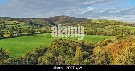 Moel Famau in the Clwydian Mountain Range viewed from Loggerheads Country Park in autumn near Mold North Wales UK October 2019 253829 Stock Photo