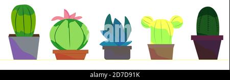 Cactus icons in a flat style on a white background. Home plants cacti in pots and with flowers. Stock Vector