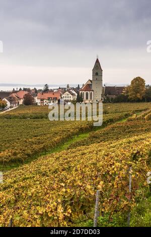 View of the wine village of Hagnau on Lake Constance with church and vineyard in autumn, Baden-Wuerttemberg, Germany Stock Photo