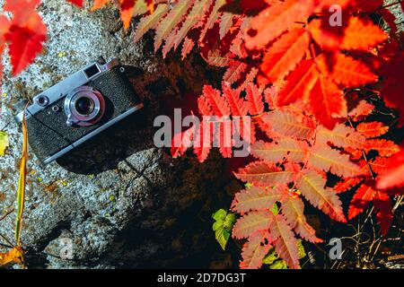 Vintage photo camera on the natural background Stock Photo