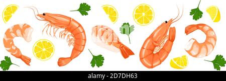 Shrimp prawn icons set. Shrimp, parsley, lemon drawing on a white background. Collection shrimp, shrimp without shell, meat, sushi. Realistic vector i Stock Vector