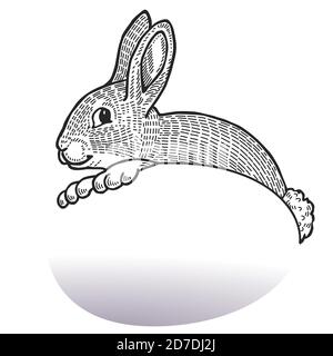 Easter bunny with Easter egg, black on white, cut out vector illustration Stock Vector