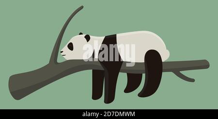 Panda sleeping on branch. Cute animal in cartoon style. Stock Vector