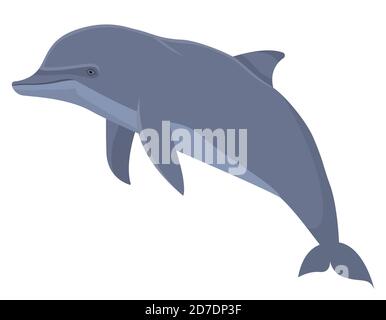 Dolphin in cartoon style. Sea animal isolated on white background. Stock Vector