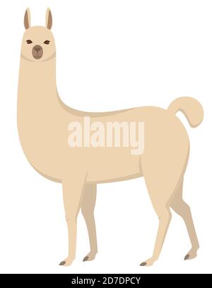 Standing cute llama. Beautiful animal in cartoon style. Stock Vector