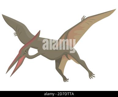 Pterodactyl in cartoon style. Predatory dinosaur isolated on white background. Stock Vector