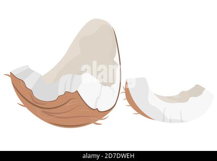 Coconut slices in cartoon style. Tropical fruit isolated on white background. Stock Vector