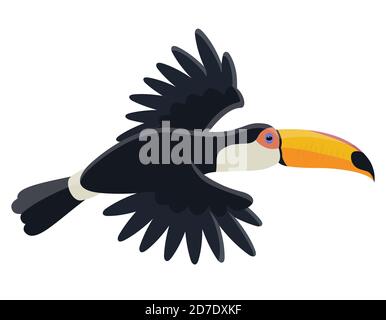 Flying tropical bird. Toucan in cartoon style isolated on white background. Stock Vector