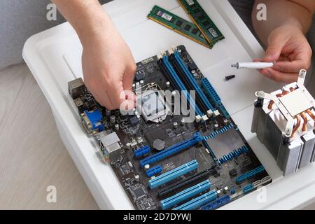 Thermal grease for computer. Male hand applied thermal paste to processor. Stock Photo